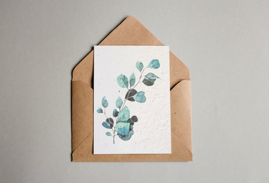 Postkarten aus Samenpapier - Eukalyptus