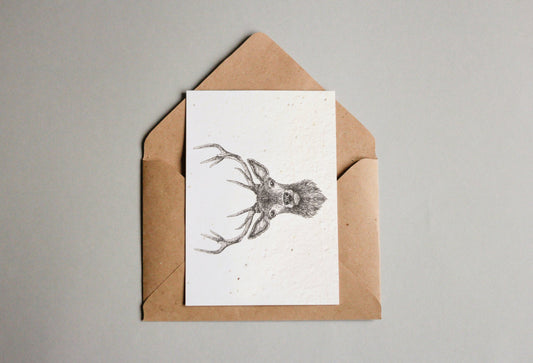 Kartenset aus Samenpapier - Waldtiere