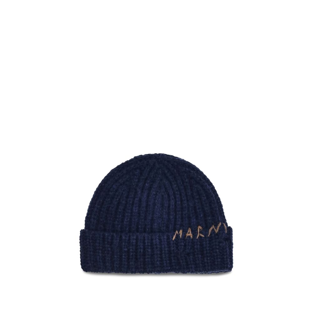 Beanie Hat