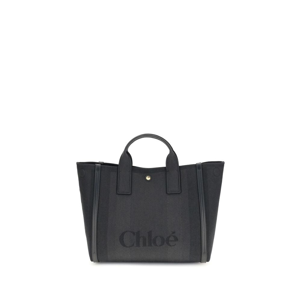 Carry Handbag