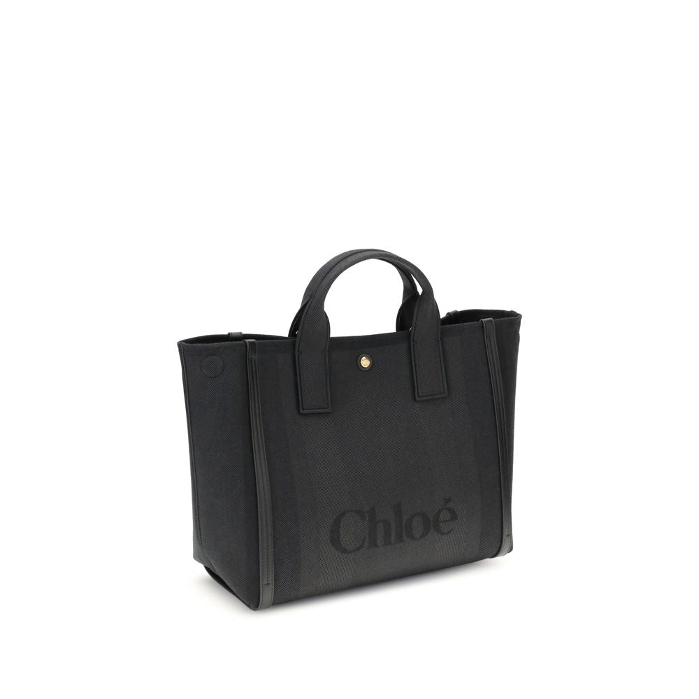 Carry Handbag