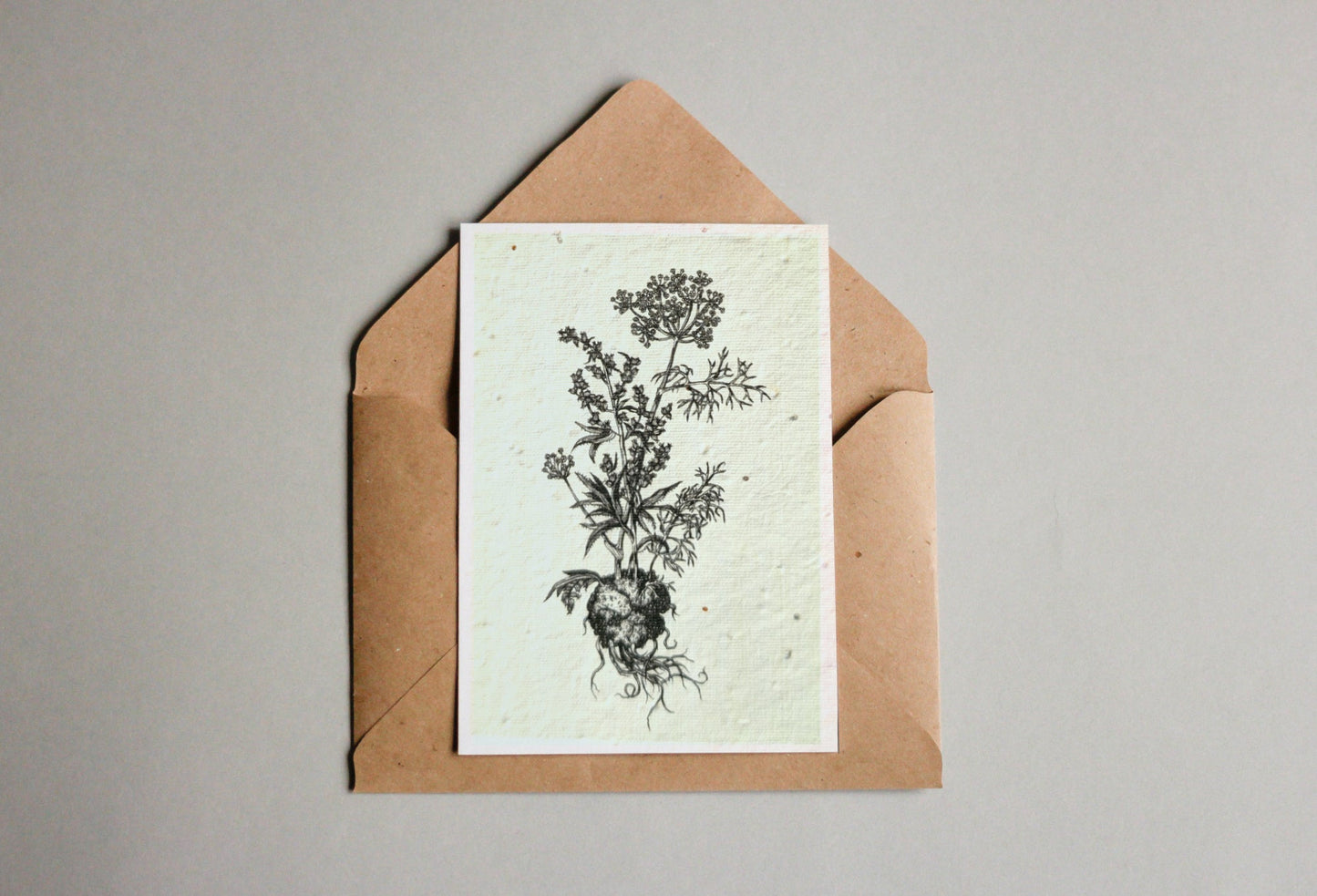 Postkarten aus Samenpapier - Andrea Noti