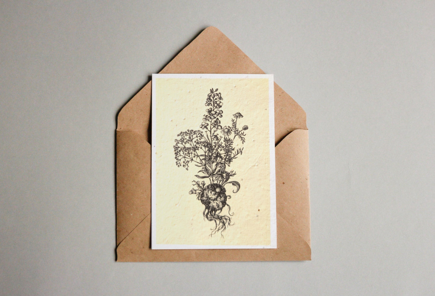 Postkarten aus Samenpapier - Andrea Noti