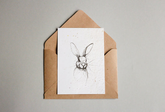 Postkarten aus Samenpapier - Hase, Huhn und Ei