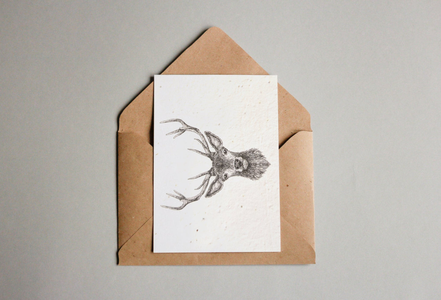 Kartenset aus Samenpapier - Waldtiere