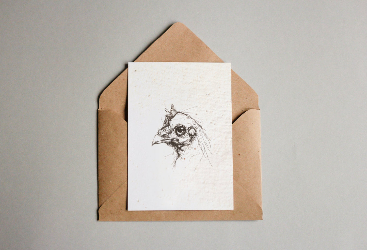 Postkarten aus Samenpapier - Hase, Huhn und Ei