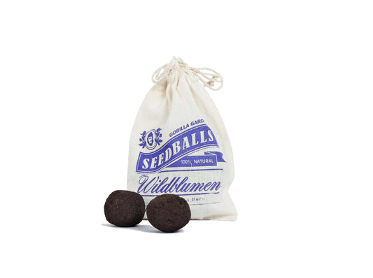 Seedballs Wildblumen