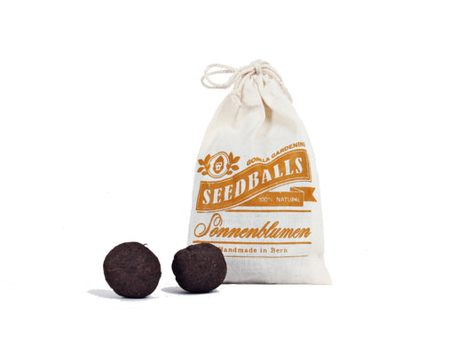 Seedballs Sonnenblumen