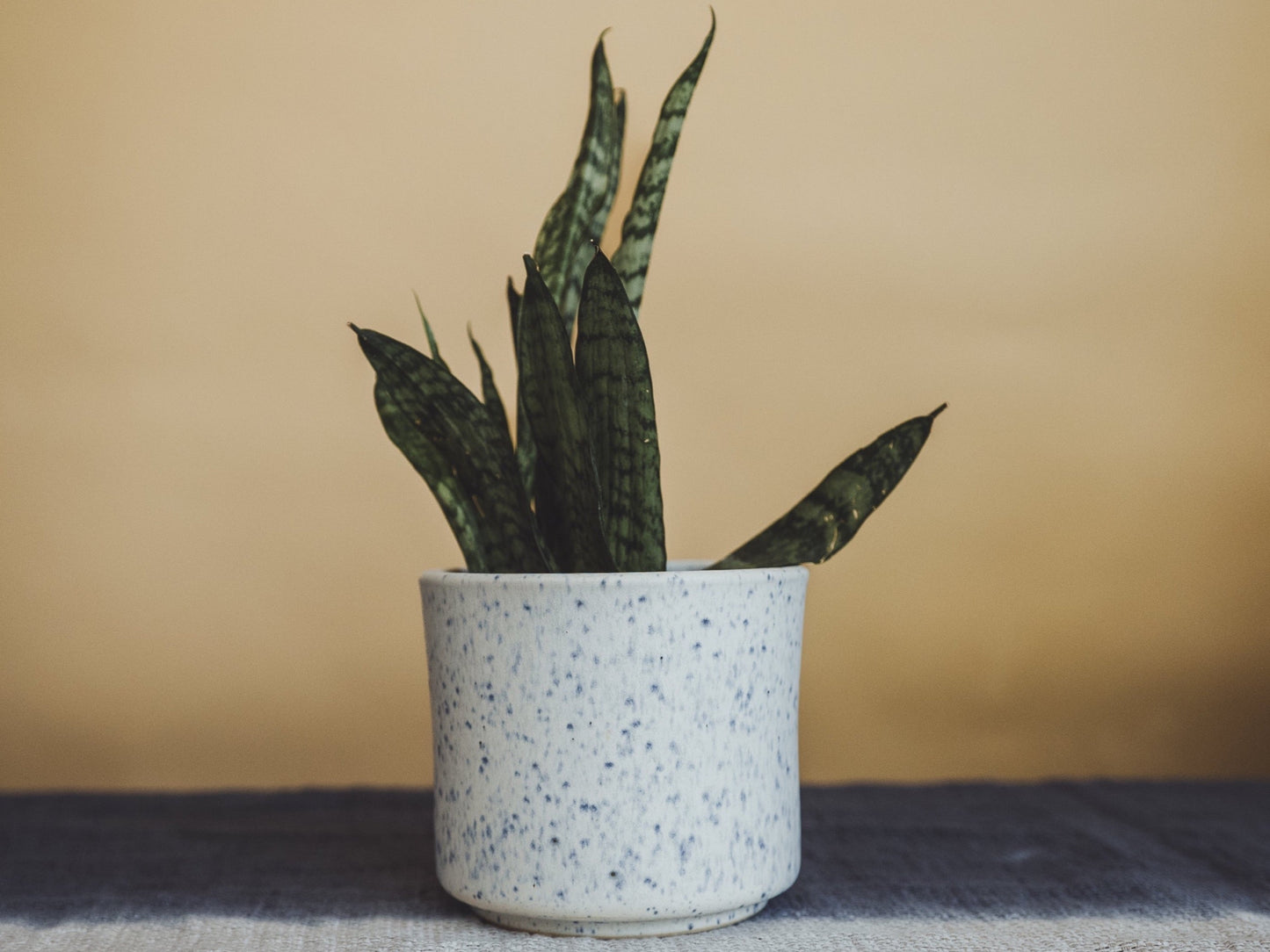 soñho Azul Manchado Blumentopf Ø13 blauweiss gesprenkelt