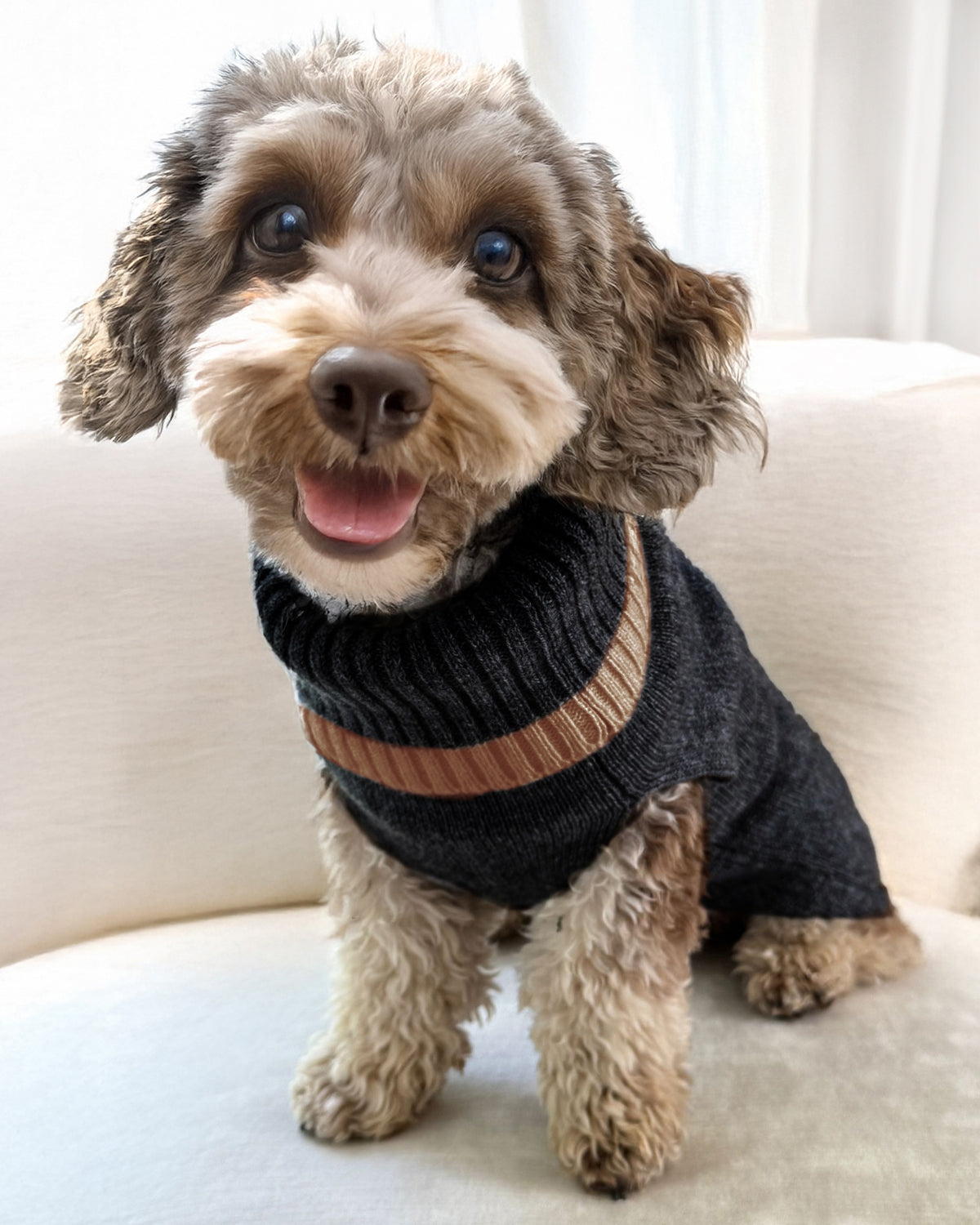 Kaschmirsweater Colorado Hund zweifarbig