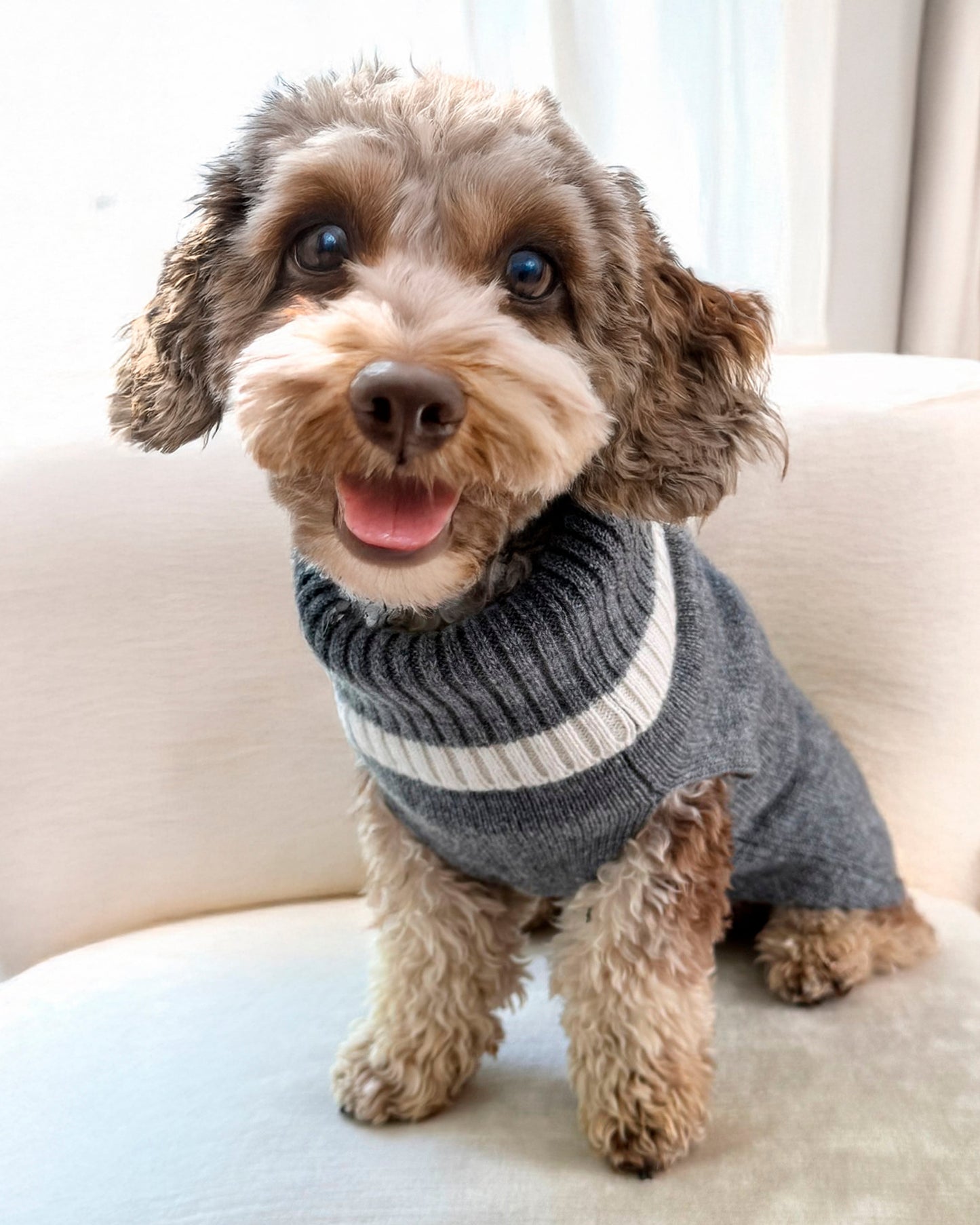 Kaschmirsweater Colorado Hund zweifarbig
