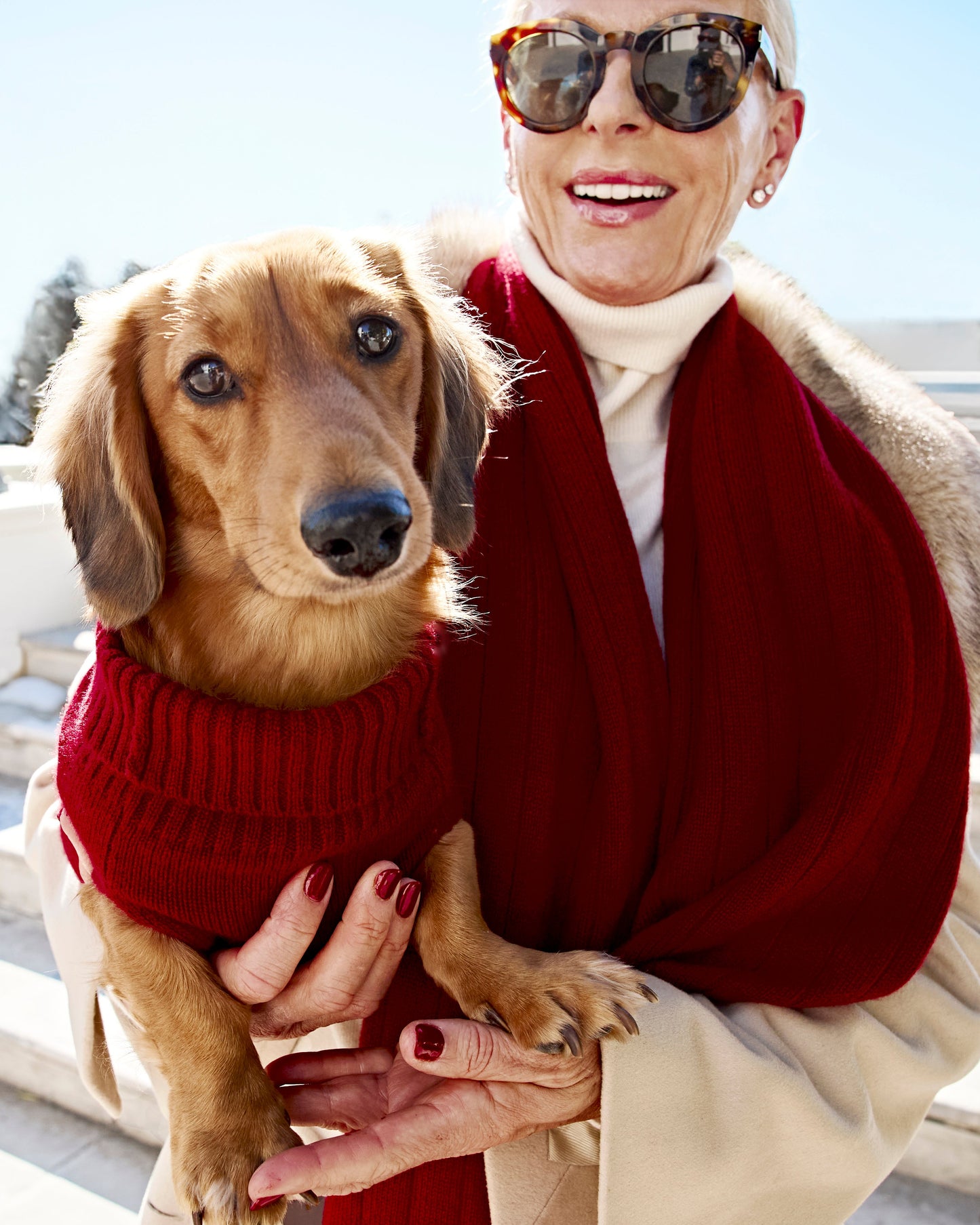 Kaschmirsweater Aspen Hund